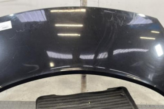 Capot RENAULT SCENIC 2 Photo n°1