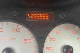 Porte avant droit PEUGEOT 206