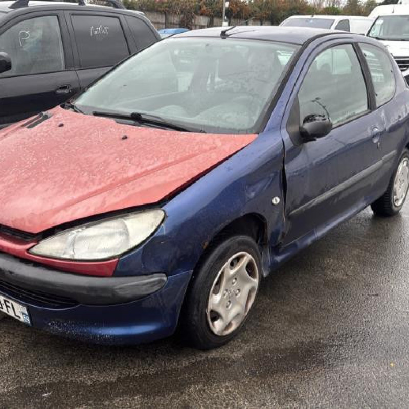 Porte avant droit PEUGEOT 206 Photo n°8