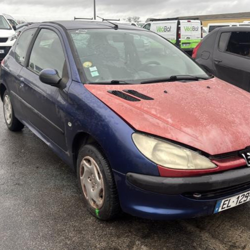 Porte avant droit PEUGEOT 206 Photo n°9