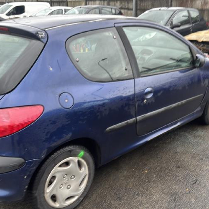Porte avant droit PEUGEOT 206 Photo n°14
