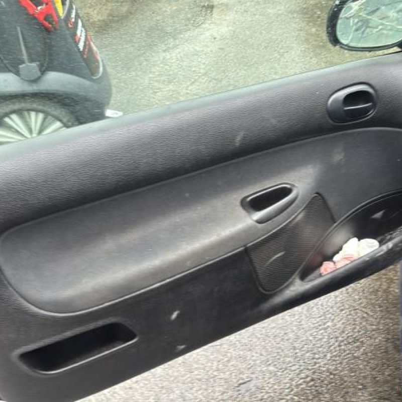 Porte avant droit PEUGEOT 206 Photo n°16