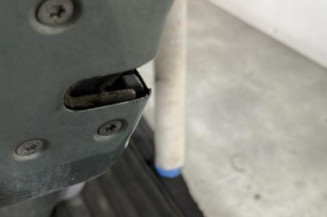 Porte arriere gauche CITROEN C3 1