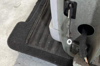 Porte arriere gauche CITROEN C3 1