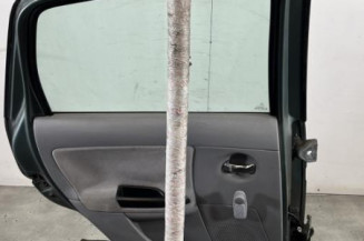 Porte arriere gauche CITROEN C3 1