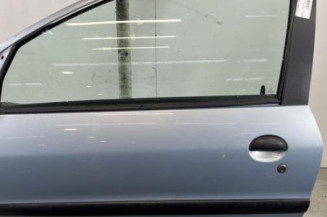 Porte avant gauche PEUGEOT 206 Photo n°1