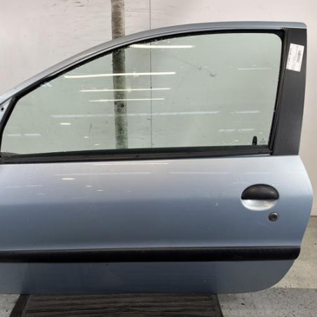 Porte avant gauche PEUGEOT 206 Photo n°1