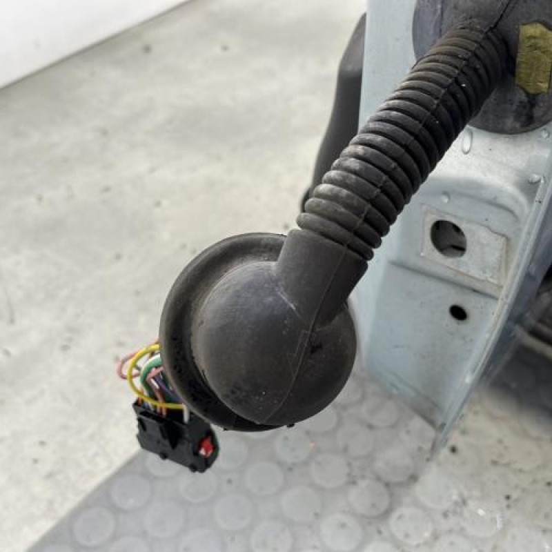 Porte avant gauche PEUGEOT 206 Photo n°5