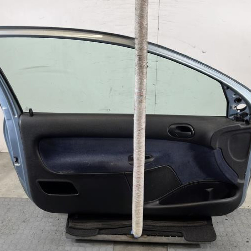 Porte avant gauche PEUGEOT 206 Photo n°6