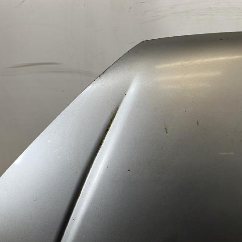 Capot PEUGEOT 206 Photo n°3