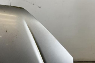Capot PEUGEOT 206