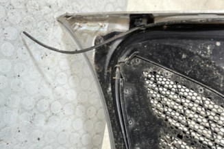 Capot PEUGEOT 206