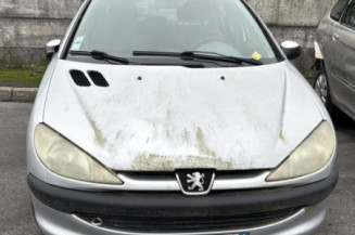Capot PEUGEOT 206