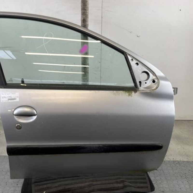 Porte avant droit PEUGEOT 206 Photo n°1