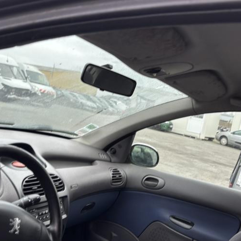 Porte avant droit PEUGEOT 206 Photo n°18