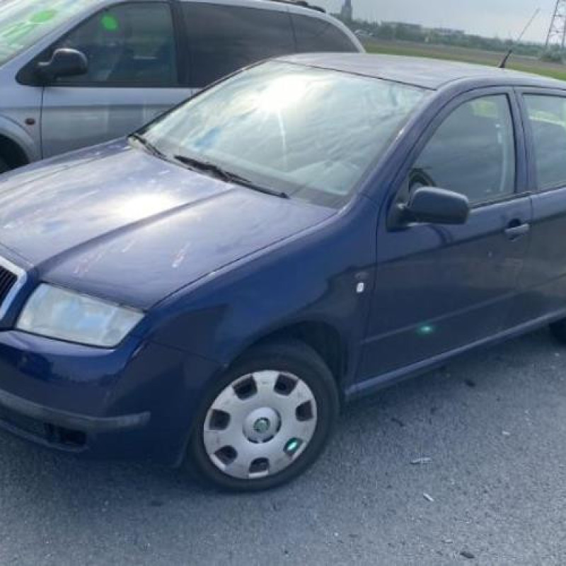 Porte avant droit SKODA FABIA 1 Photo n°11