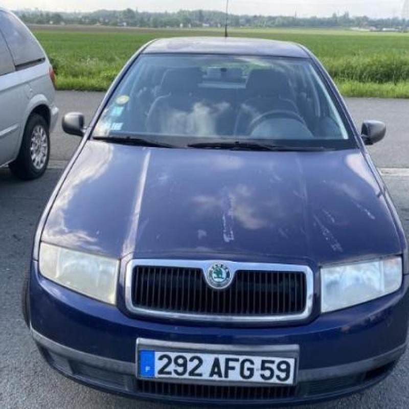 Porte avant droit SKODA FABIA 1 Photo n°12