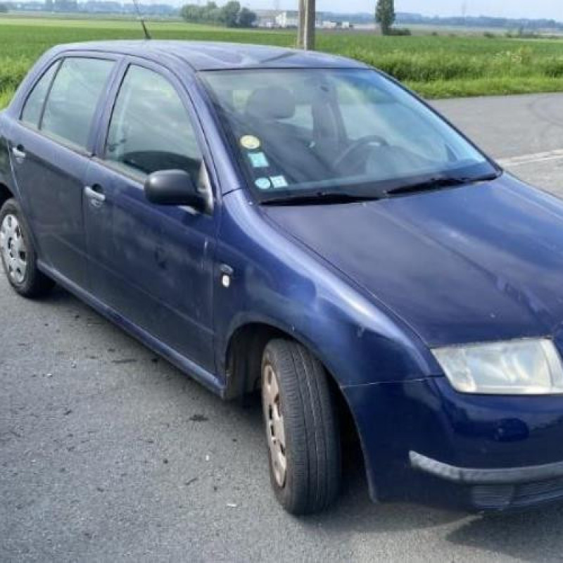 Porte avant droit SKODA FABIA 1 Photo n°20