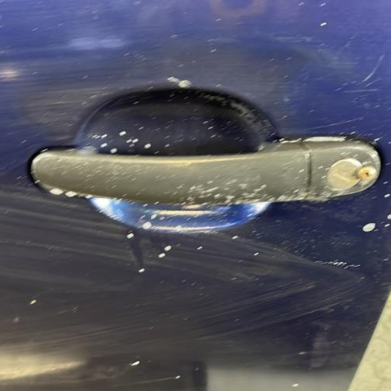 Porte avant gauche SKODA FABIA 1 Photo n°2