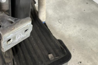 Porte arriere gauche OPEL MERIVA B