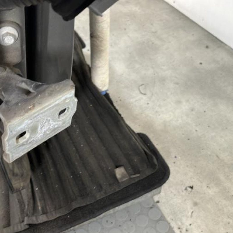 Porte arriere gauche OPEL MERIVA B Photo n°4