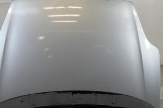 Capot FIAT PUNTO EVO 3 Photo n°1