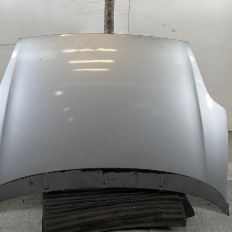 Capot FIAT PUNTO EVO 3 Photo n°1