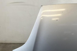 Capot FIAT PUNTO EVO 3