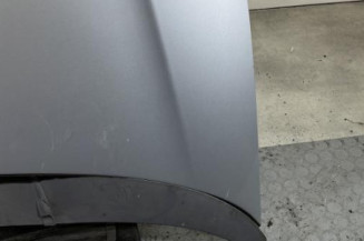 Capot FIAT PUNTO EVO 3