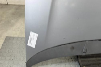 Capot FIAT PUNTO EVO 3