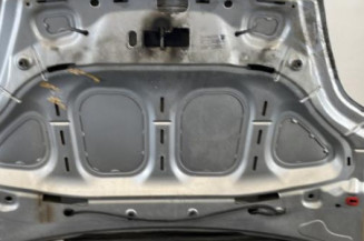 Capot FIAT PUNTO EVO 3