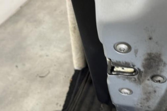 Porte avant droit FIAT PUNTO EVO 3