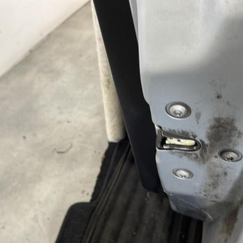 Porte avant droit FIAT PUNTO EVO 3 Photo n°6