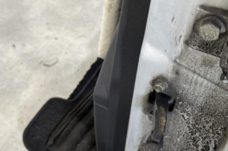 Porte avant gauche FIAT PUNTO EVO 3