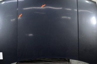 Capot VOLKSWAGEN GOLF 4 Photo n°1