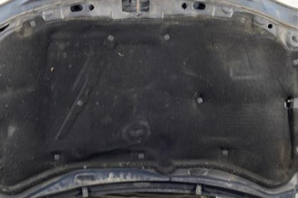 Capot VOLKSWAGEN GOLF 4