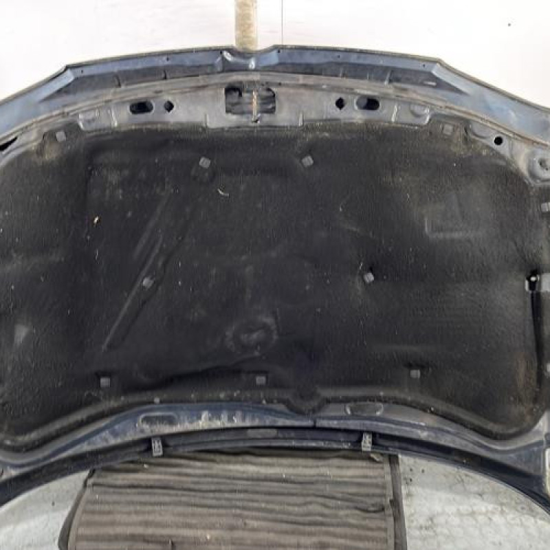 Capot VOLKSWAGEN GOLF 4 Photo n°8