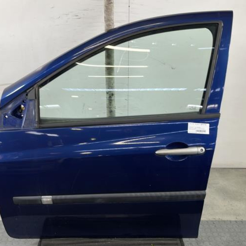 Porte avant gauche RENAULT CLIO 3 Photo n°1