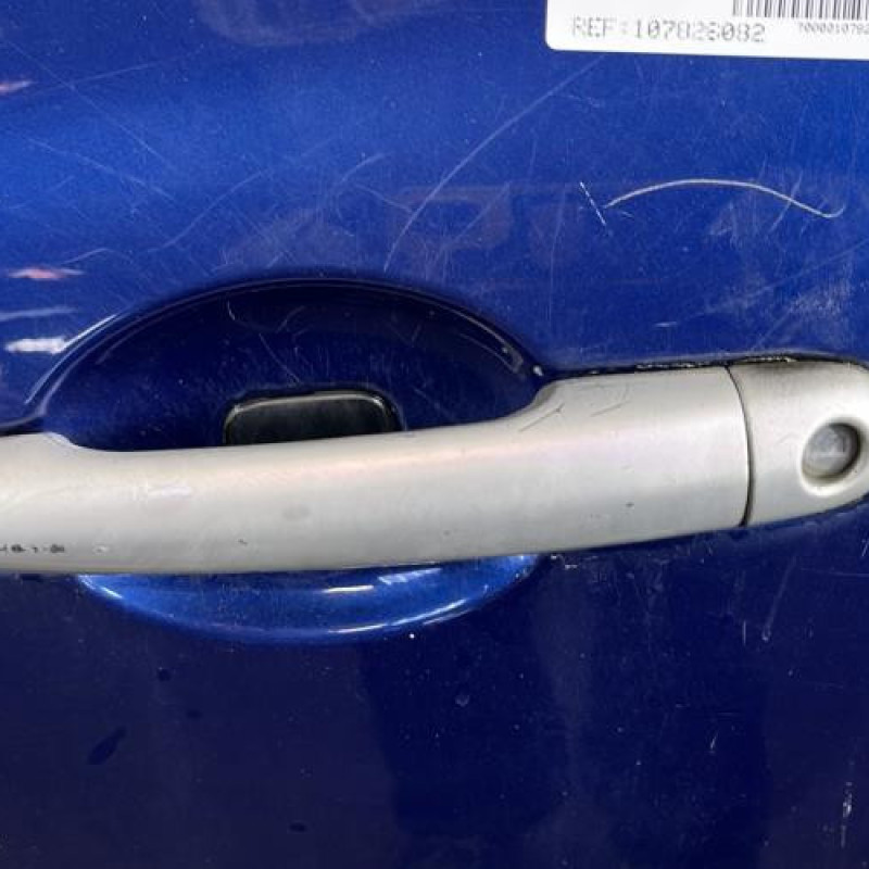 Porte avant gauche RENAULT CLIO 3 Photo n°2