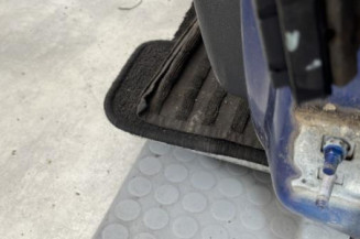 Porte avant gauche RENAULT CLIO 3