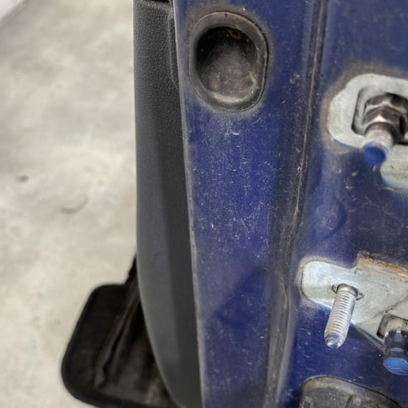 Porte avant gauche RENAULT CLIO 3 Photo n°5