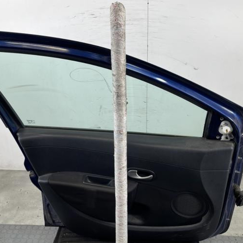 Porte avant gauche RENAULT CLIO 3 Photo n°6