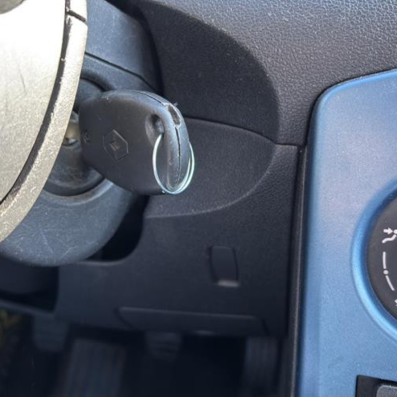 Porte avant gauche RENAULT CLIO 3 Photo n°15