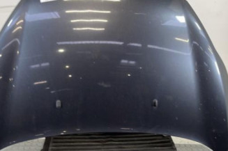 Capot FORD FIESTA 6 Photo n°1