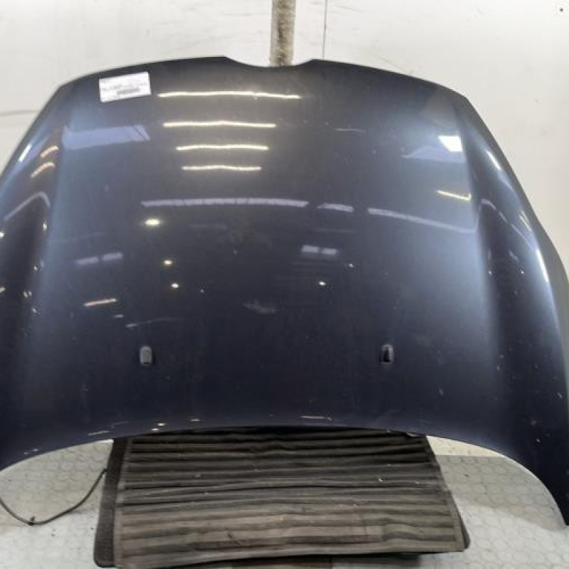 Capot FORD FIESTA 6 Photo n°1