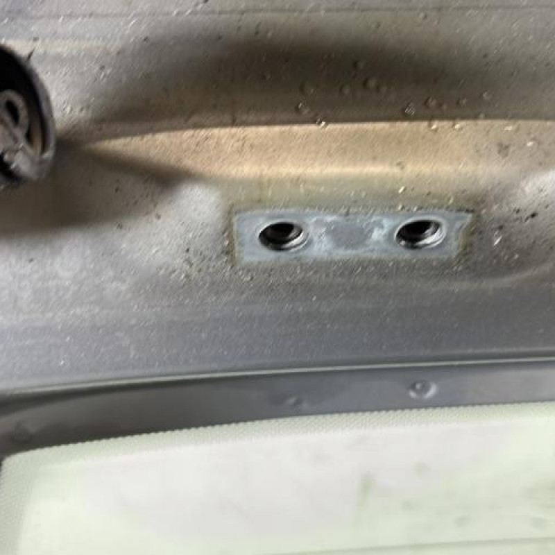 Malle/Hayon arriere CITROEN SAXO Photo n°8