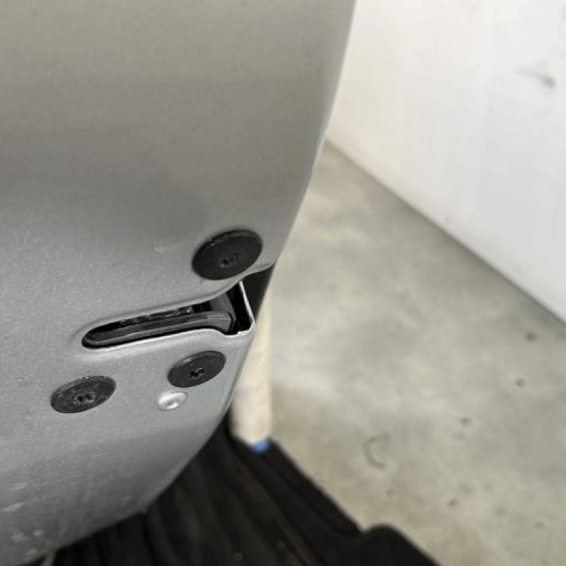 Porte arriere gauche RENAULT GRAND SCENIC 3 Photo n°3