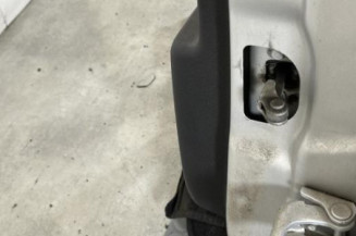 Porte arriere gauche RENAULT GRAND SCENIC 3