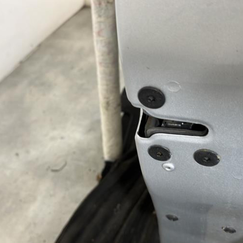 Porte avant droit RENAULT GRAND SCENIC 3 Photo n°3