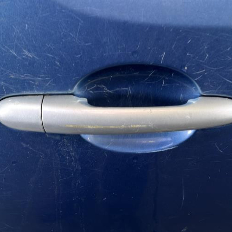 Porte laterale gauche RENAULT KANGOO 2 Photo n°2